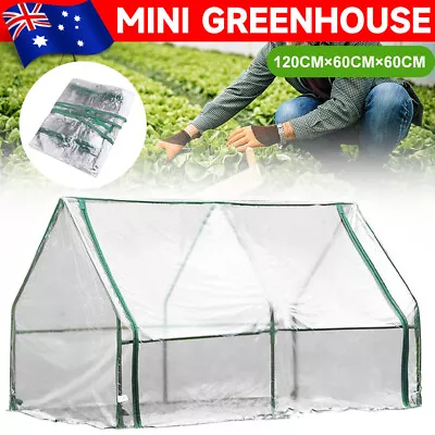 Greenhouse Flower Garden Shed Complete With Frame Cover Tunnel Green House 120L • $42.85