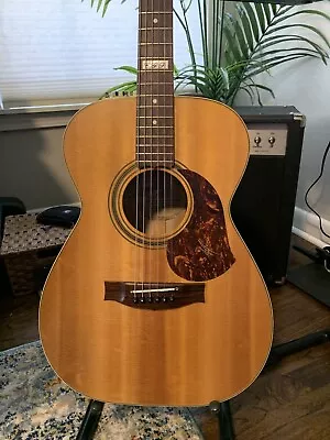 Maton EBG808TE • $2400