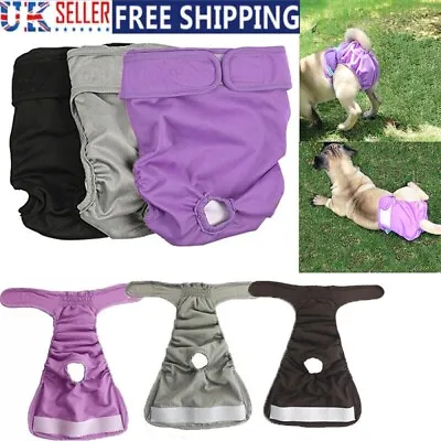 Female Dog Pet Season Heat Pants Short Sanitary Underwear Puppy Menstrual Diaper • £6.79