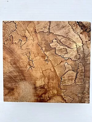 Kiln Dried Curly Spalted Maple Bowl Blank Turning Wood Lumber 8x8x2 5/8End Grain • $40