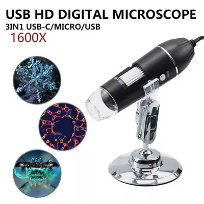 Adjustable 1600X USB Digital Electronic Microscope Camera Endoscope 8LED W/Stand • $19.99