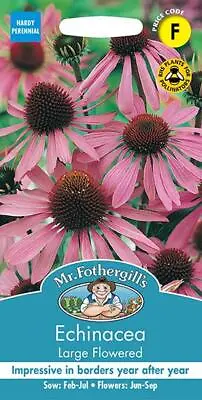 Echinacea Large Flowered  50 Fresh Seeds    Echinacea Seeds    Flower Seeds • £2.80