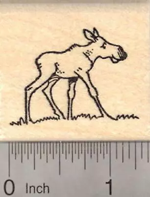 Small Moose Calf Rubber Stamp D20019 WM • $14