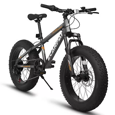 20 Inch Fat Tire Bike Adult/Youth Full Shimano 7 Speed Mountain Bike • $247.38