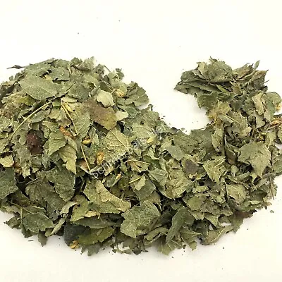 Dream Herb Calea Zacatechichi 1 Kg All Natural Leaf ~ Schmerbals Herbals • $85