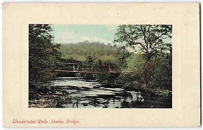 Llandrindod Wells Shakey Bridge Radnorshire - Pre WWI Postcard R30 • £3.45