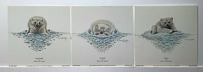 £10 • Buy Set Of 3 Polar Bear Prints By Warwick Higgs