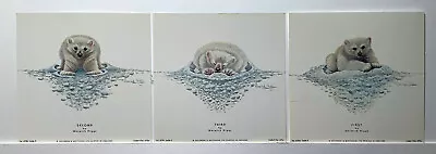 £10 • Buy Set Of 3 Polar Bear Prints By Warwick Higgs