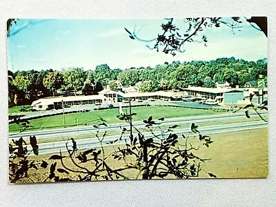 Vintage Postcard 1970's Black Horse Motel West Springfield MA US Route 5 • $8.09