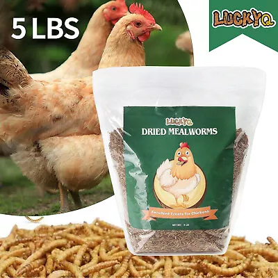 5 LBS Bulk Dried Mealworms For Wild Birds Food Chickens Hen Fish Treats Food USA • $32.75