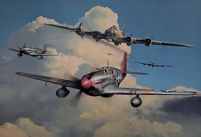 Red Tail Escort By Richard Taylor Signed By 6 Tuskegee Airmen With Charles McGee • $235