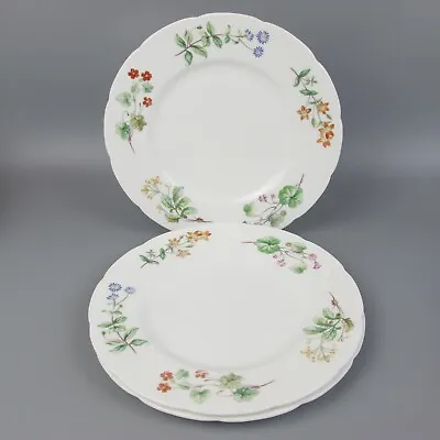 Minton Dinner Plates  Meadow  X 3. Vintage Bone China. Floral. 10.75  • £24.99