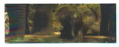3D Lenticular Motion Bookmark Ruler Baby Elephant Dumbo Animal Lover Gift X Her • £2.89