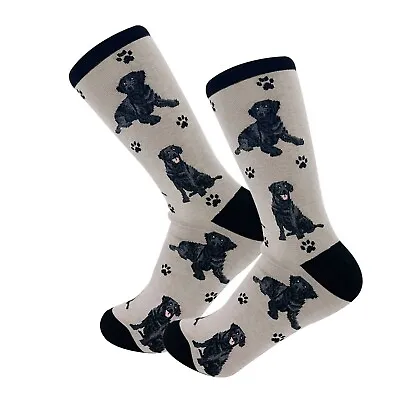 Black Labrador Socks Gift/Present Dog Lab • £8.95