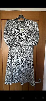 Primark Dalmation Print Dress BNWT 12  • £5