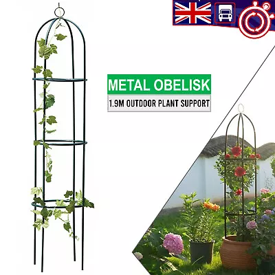 Metal Garden Obelisk Climbing Plant Flowers Steel Frame Arch Support 1.9m • £10.85