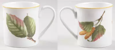 Villeroy & Boch Parkland Mug 3419301 • $49.99