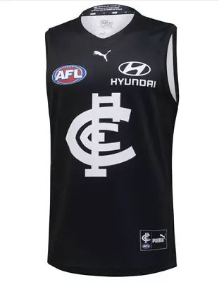 $80 • Buy 2023 Carlton Blues PUMA Mens Home Guernsey Size Extra Large