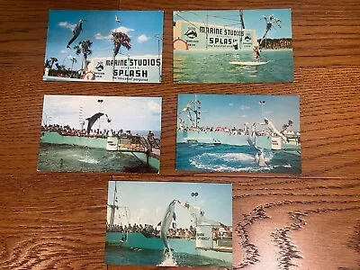  Marineland FL Marine Studios Porpoise Show Water Skiing Dog Lot 5 Postcards • $3.65