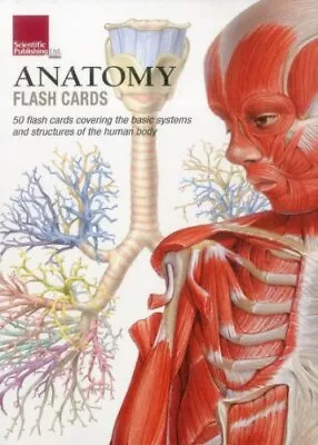 Anatomy Flash Cards By Scientific Publishing [Cards] • $11.46