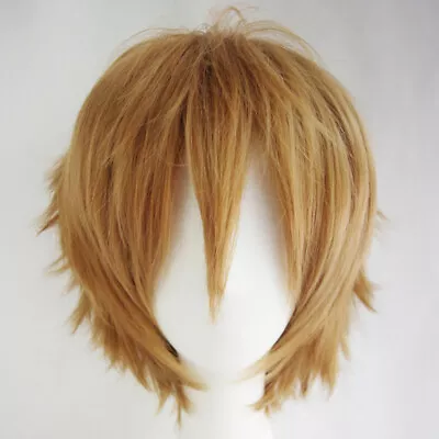 Men Male Short Full Wigs Boys Anime Cosplay Costume Party Synthetic Hair Wig Set • $14.99