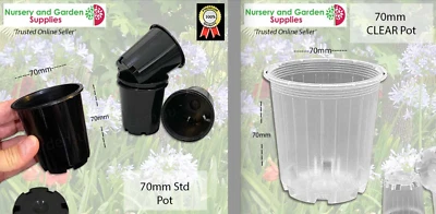 70mm Standard Plant Pot - Clear Or Black - Phalaenopsis Orchids Seedlings Etc • $24.99