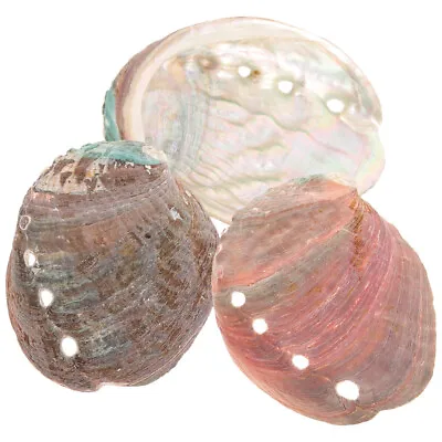 3pcs Abalone Shell Smudge Bowls Shell Smudge Holder Abalone Shell For Smudging • £6.34