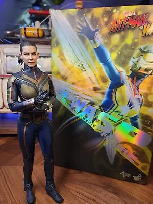Hot Toys MMS498 The Wasp Ant-Man And The Wasp Marvel 1/6 Scale Figure • $160
