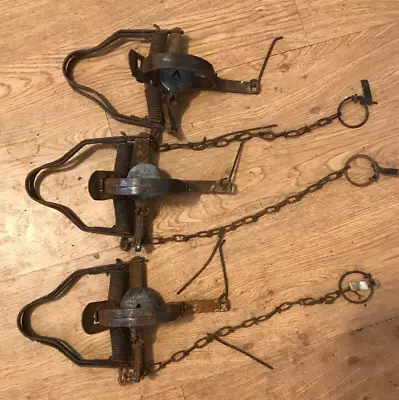 3 Victor Two Trigger Traps Animal Trap Company Of Mississippi Original Complete • $49