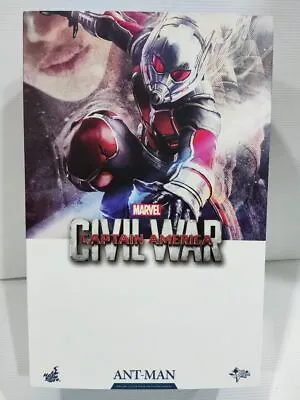 Hot Toys Mms362 Captain America Civil War Ant-man 1/6th Collectible Figure • $581.35