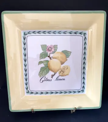 VILLEROY & BOCH French Garden 10 ½” Square Plate Citrus Limon Made In Germany • $25