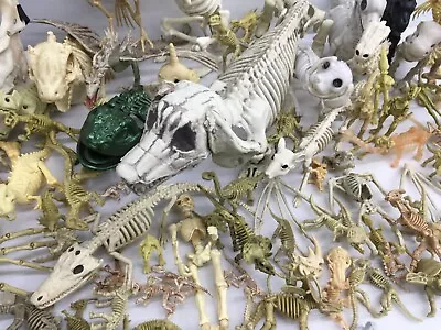 LOT 15 Lbs Assorted Dinosaur Human Animal Fossil Skeleton Model Figures Bones • $110