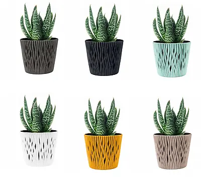 Indoor Plant Pots With Insert Plastic Flowerpot Small Large • £6.45