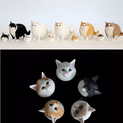 JXK 1:6 Scale Change Head Fat Cat Model Animal Collection Scene Decor Kids Toy • $35.99