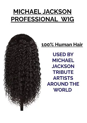 Michael Jackson Proffesional Wig • £175