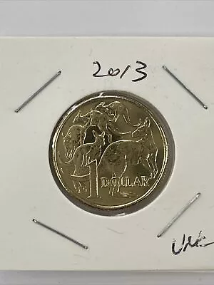 2013 AUSTRALIAN $1 ONE DOLLAR COIN - MOB OF ROOS- IRB -UNC IN 2X2 Holder • $9.95