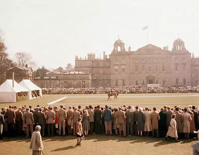 The Royal Family Watch The Badminton Horse Trials 1950s Old Photo • $9