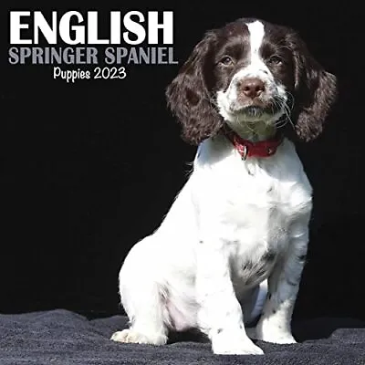 £6.90 • Buy English Springer Spaniel Puppies Mini Calendar 2023,  -  - NEW