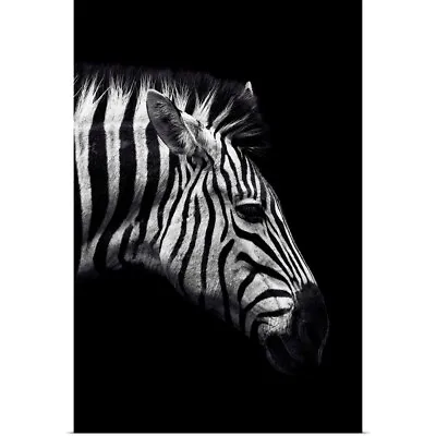Dark Zebra Poster Art Print Zebra Home Decor • $49.99