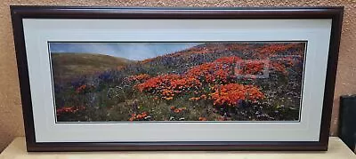 Original Signed Thomas Mangelsen Photo  A Morning Breeze - Poppies & Lupine 31  • $999