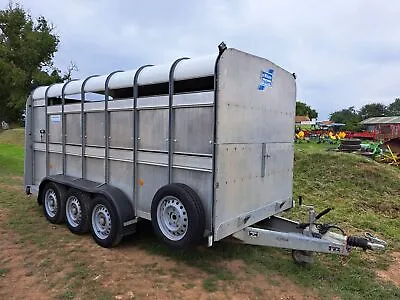 IFOR WILLIAMS TA510G3-14 Tri-axle 14ft Livestock Trailer - 2015 • £6150