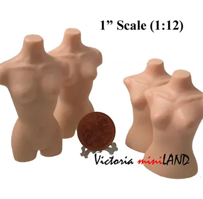 Miniature BUST TORSO MANNEQUIN 1.75”+2.5 Dollhouse 4pc   1:12 Scale  • $37.50