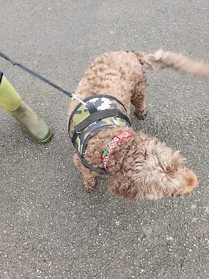 Medium Dog Harness - Camouflage Motive - Fully Adjustable - Free Postage • £5