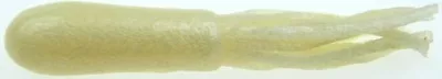 Mizmo Tubes 2.75 Inch Teasers Shad Ghost White • $6.99