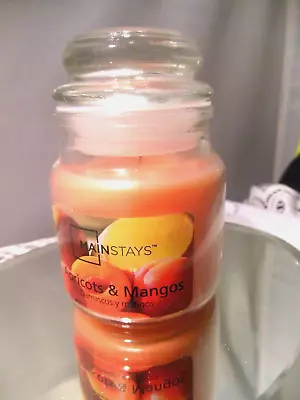  MAINSTAYS  APRICOTS & MANGOS CANDLE-- 3oz • $5.99