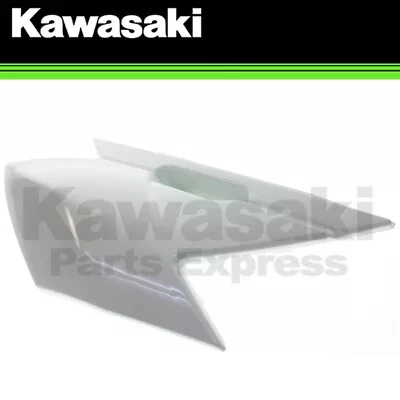 New 2008-2023 Kawasaki Genuine Rh Bright Wide Side Cover Klx140 36001-0156-266 • $44.65