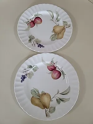 Mikasa Maxima CAJ05 Belle Terre Fine China Dinner Plate 10 3/4” Set Of 2 • $15