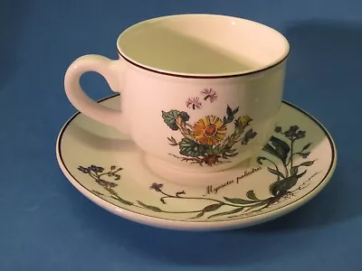 Saucer & Tea Cup: VILLEROY & BOCH Porcelain Botanica ~ Forget-Me-Not & Coltsfoot • $24.77