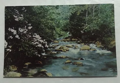 Laurel Creek The Great Smoky Mountains National Park Tenn. Postcard (Y1) • $4.63