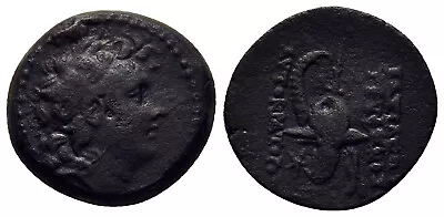 Fitz Seleukid Kings Syria Tryphon Macedonian Helmet Greek Bronze @bdr2186 • $2.15